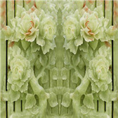 绿玉牡丹  仿玉石3D背景墙